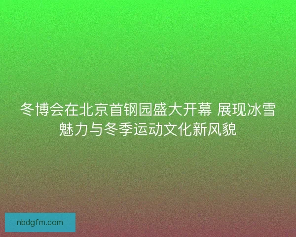 冬博会在北京首钢园盛大开幕 展现冰雪魅力与冬季运动文化新风貌