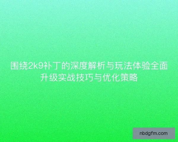 围绕2k9补丁的深度解析与玩法体验全面升级实战技巧与优化策略
