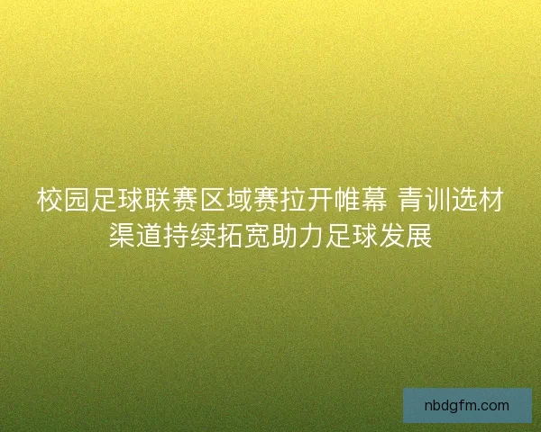 校园足球联赛区域赛拉开帷幕 青训选材渠道持续拓宽助力足球发展