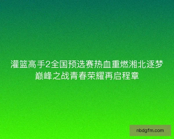 灌篮高手2全国预选赛热血重燃湘北逐梦巅峰之战青春荣耀再启程章