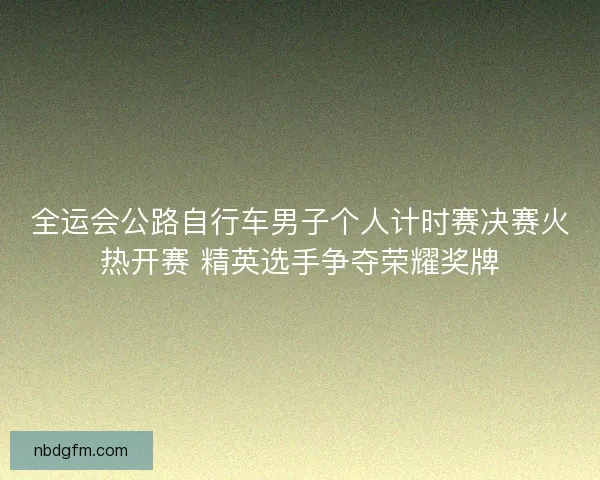 全运会公路自行车男子个人计时赛决赛火热开赛 精英选手争夺荣耀奖牌